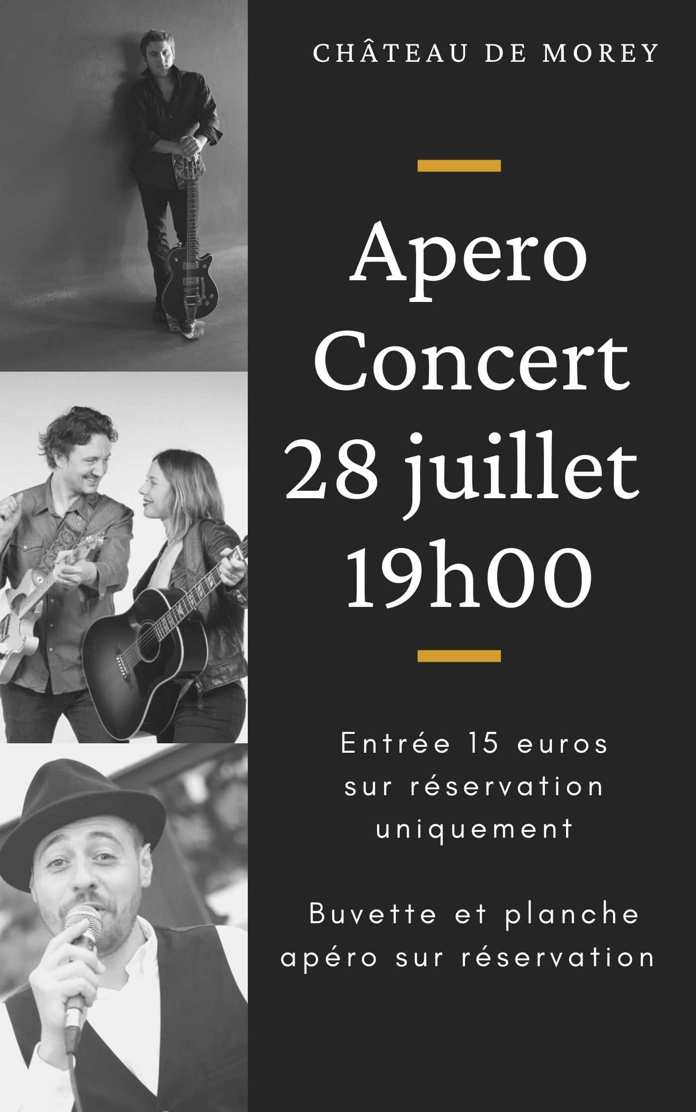 Apéro Concert dans un château à quelques minutes de Nancy