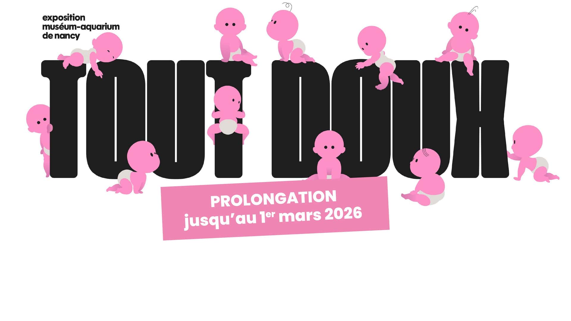 Museum-Aquarium de Nancy: natural history collections and aquariums in the city centre