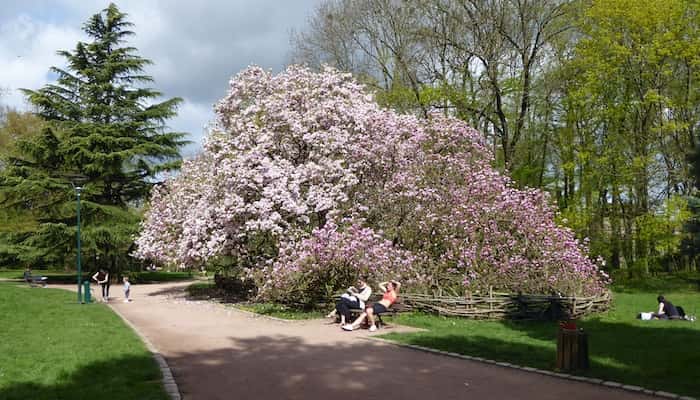 Le parc Sainte-Marie à Nancy : le grand jardin du sud de la ville
