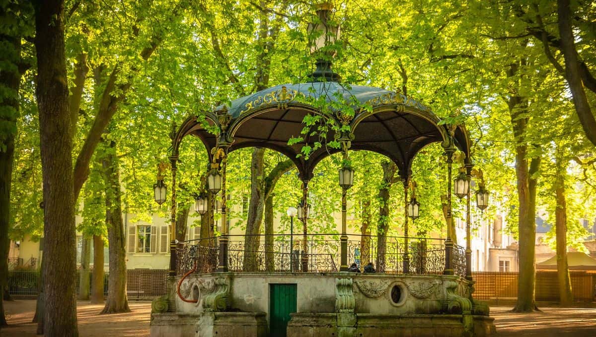 Parc de la Pépinière (Nancy)